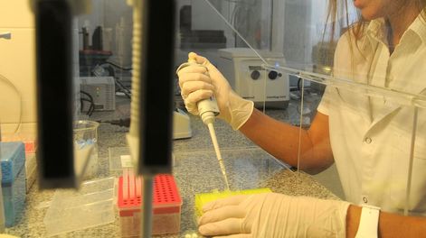 En un día, el laboratorio de ADN resolvió 8 delitos cometidos hace años en Mendoza