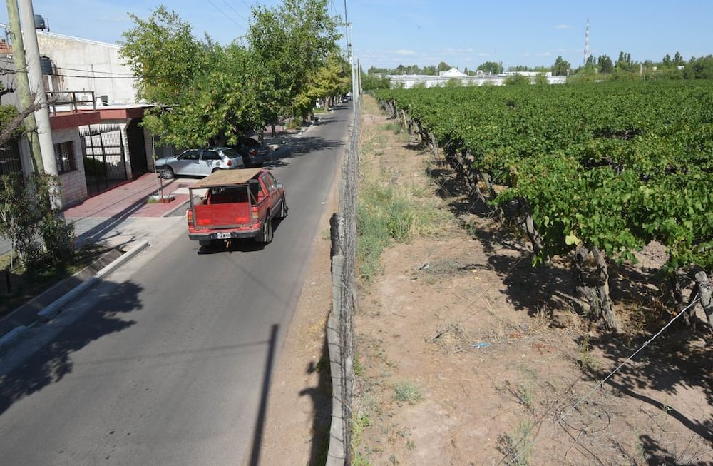 Sobre calle Kennedy, entre  Dorrego y Cobo, se encuentran los últimos viñedos de una zona hoy convertida en un área comercial y residencial por excelencia. Foto: José Gutiérrez / Los Andes