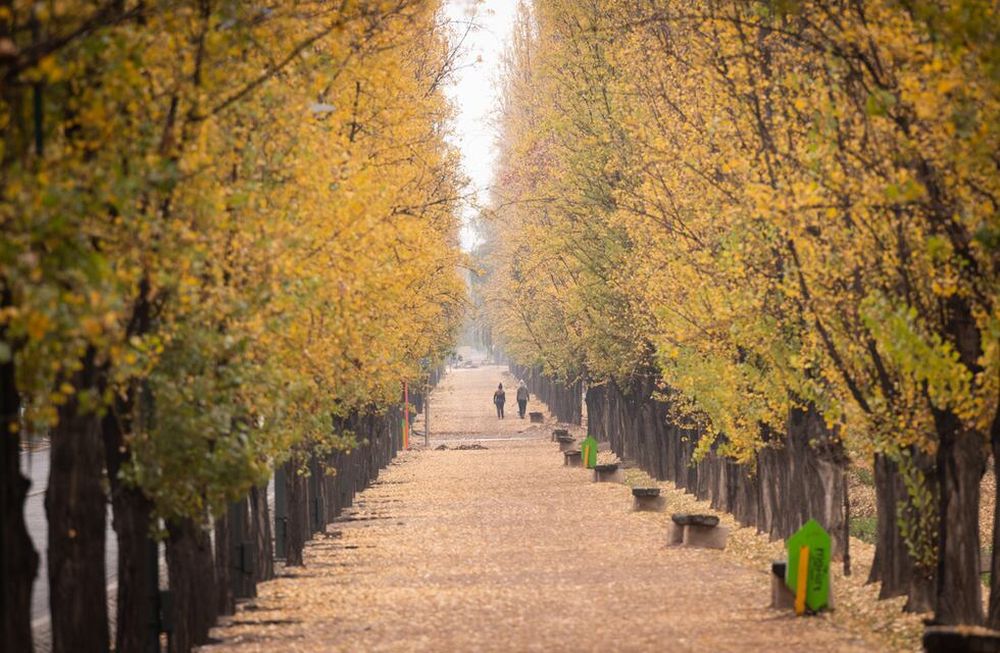 Se esperan temperaturas agradables para esta semana.Foto: Ignacio Blanco / Los Andes