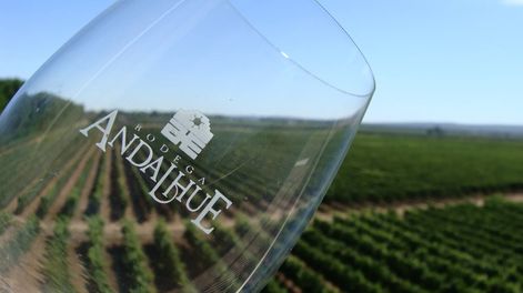 Bodega Andalhue elabora vinos orgánicos de alta gama en Ugarteche, Luján de Cuyo.