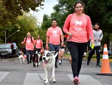 Sumate a la Maratón Animal Ciudad de Mendoza 2022