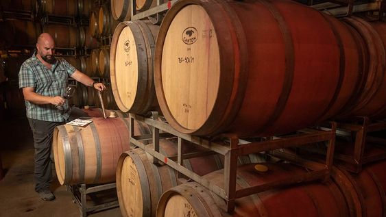 Esta semana, en el marco del aniversario de la declaración del Vino Argentino como Bebida Nacional, el INV lanzó el programa Vino Cercano, que habilita a que se venda vino en envases retornables.