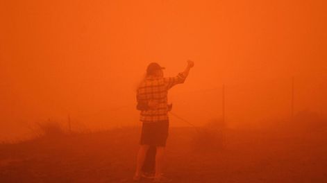 Los Andes | El presidente y candidato a la reelección Donald Trump visitó hoy la capital de California, uno de los estados más golpeados por las llamas, donde se reunirá con un grupo de bomberos y autoridades locales. / Gentileza