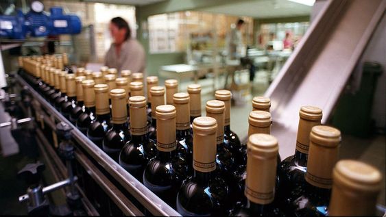 El impacto de la variación de los costos en las exportaciones vitivinícolas y qué podría pasar en 2025.