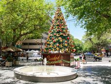 Esta es la mejor vidriera navideña de Ciudad entre 130 comercios que participaron.