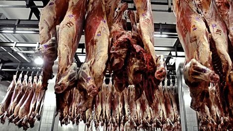 Hacia un nuevo paradigma en el consumo mundial de carne - Por Jorge Castro