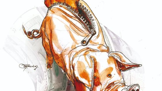 ¿Cómo me resguardo dado todo esto? ¿En qué ahorro entonces? ¿En qué invierto? Algunas pistas ya les he dado (oro, plata, para cobertura). ¿Quieren más? Eso ya tiene otro precio.