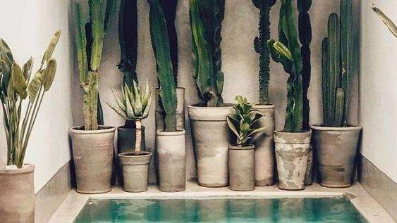 Espacios refrescantes: terrazas, jardines y más…