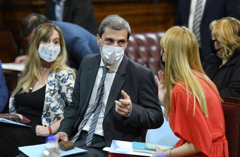 Las senadoras Anabel Fernández Sagasti y Juliana Di Tullio, junto a su par Ricardo Guerra.