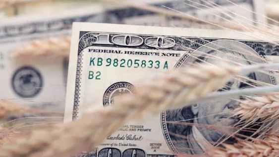 El agro liquida 17,8% por debajo de 2019 y mete más presión al dólar