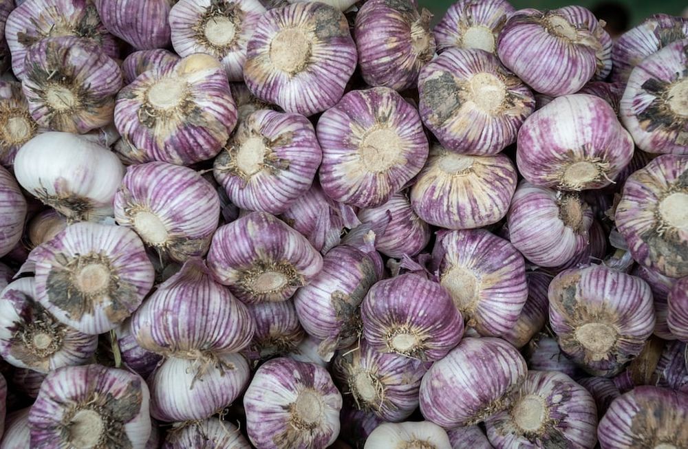 Con la nueva cosecha cerca, los problemas para encontrar mano de obra se agudizan. Muchos aseguran que no lograrán levantar todo lo producido. / Ignacio Blanco