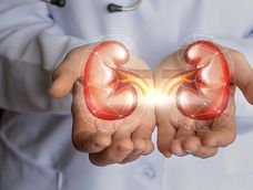 La incidencia de la enfermedad renal crónica (ERC) aumenta en Argentina y con ello, la demanda de diálisis y trasplantes.
