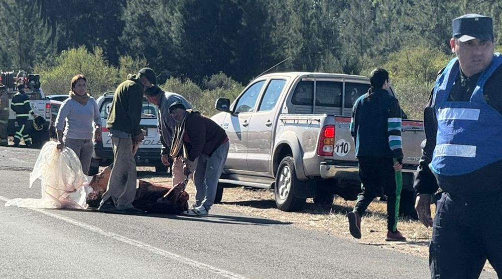 El siniestro sucedió poco después de las 7:00 a.m., cuando un camión Scania 310 con acoplado, que transportaba carne desde José León Suárez, Buenos Aires