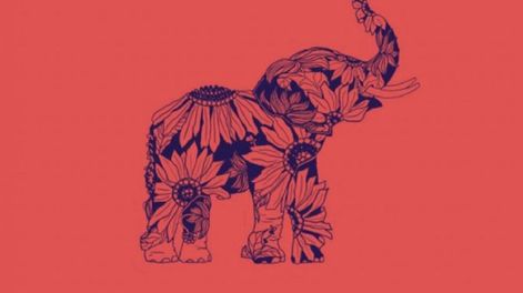 Los Andes | Dependiendo que veas de esta imagen, es cuán cariñoso/a sos.