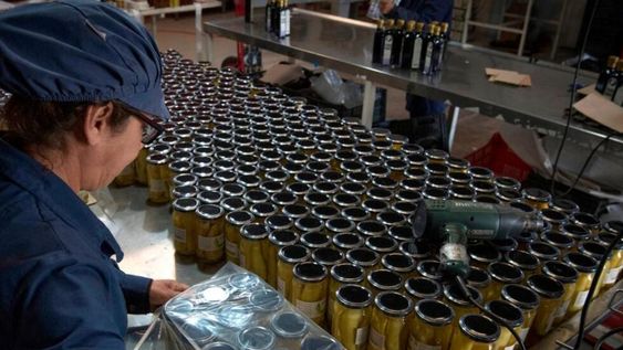 El ministro de Desarrollo Social, Daniel Arroyo, aseguró que este año se planea “convertir los planes sociales en trabajo”, y destacó que para ello se trabaja en “Potenciar Trabajo”. (Los Andes / Archivo)