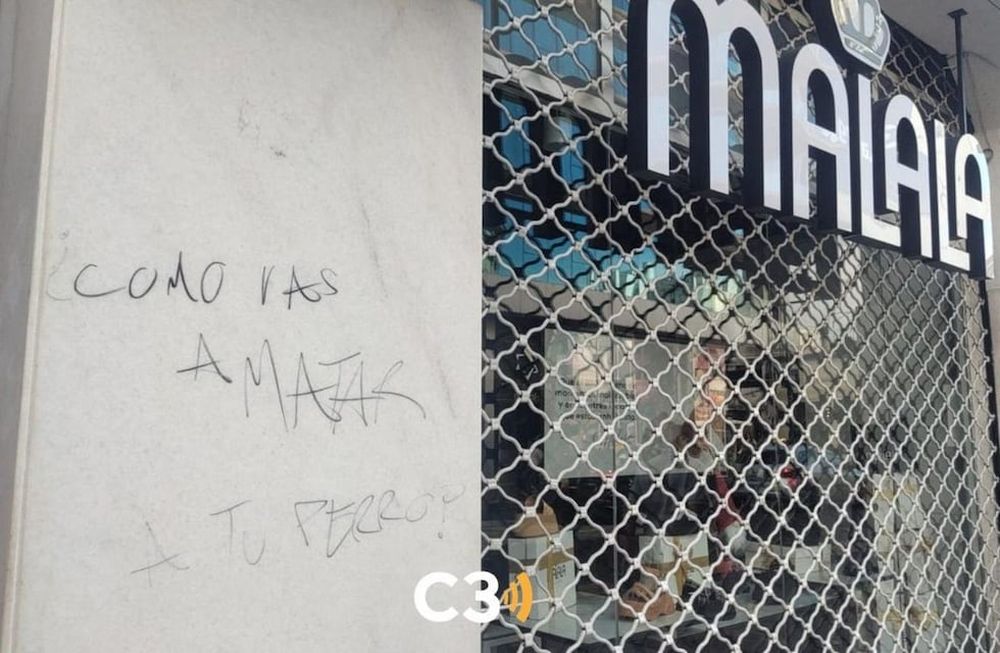 Vandalizaron el negocio de la mujer que olvidó a su perro dentro del auto.