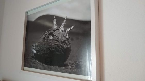 La Asamblea de Artistas Visuales de Mendoza realizará el primer sorteo solidario para ayudar a los colegas, en situación crítica. El fotógrafo Rodrigo Etem donó una de sus obas.