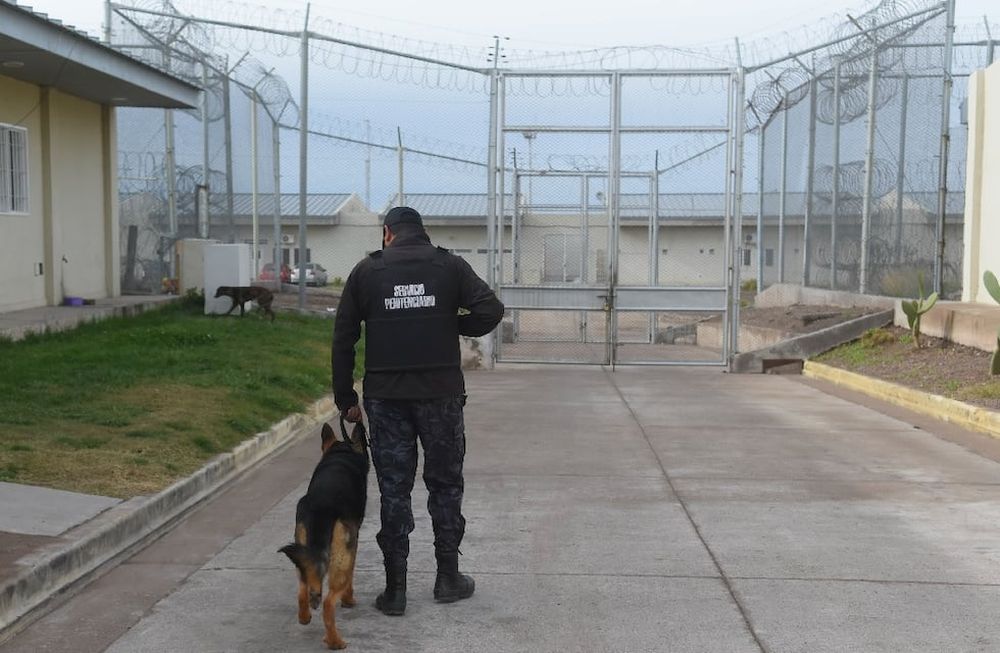 Penal, cárcel