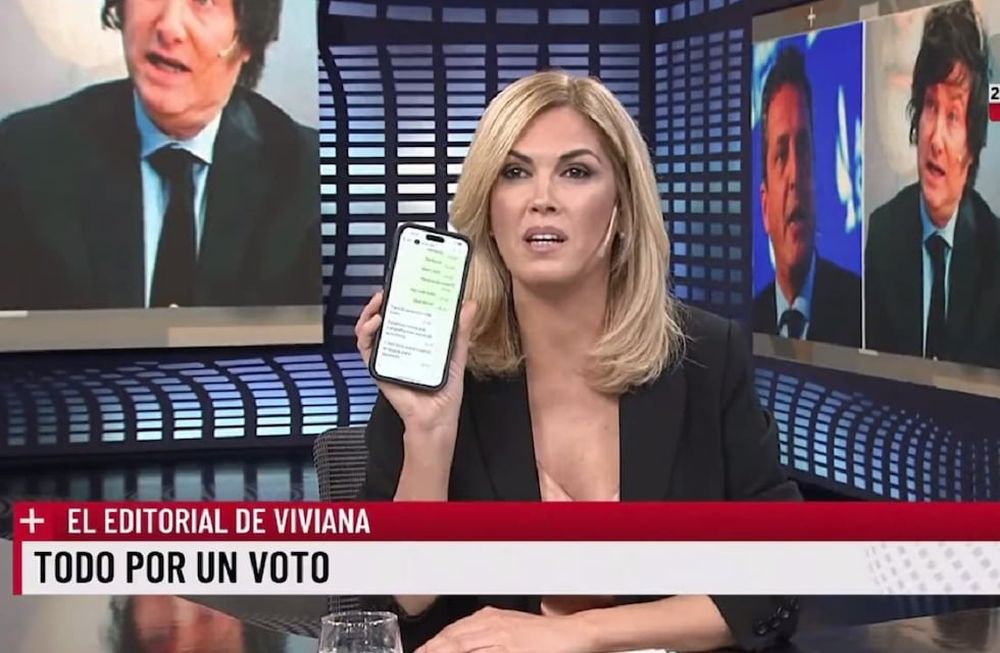 La decepción de Viviana Canosa con Milei: “Decime que es mentira que armás listas con Massa” (LN+)
