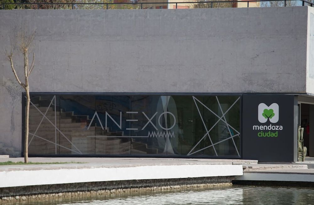 “¿Y si no fuera más que una artista estocástica?” se inaugurará en el Anexo MMAMM