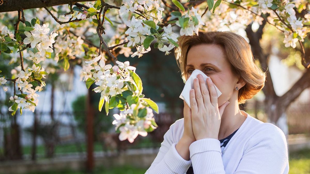 No es el jengibre: cuál es la especia que combate la alergia estacional de primavera