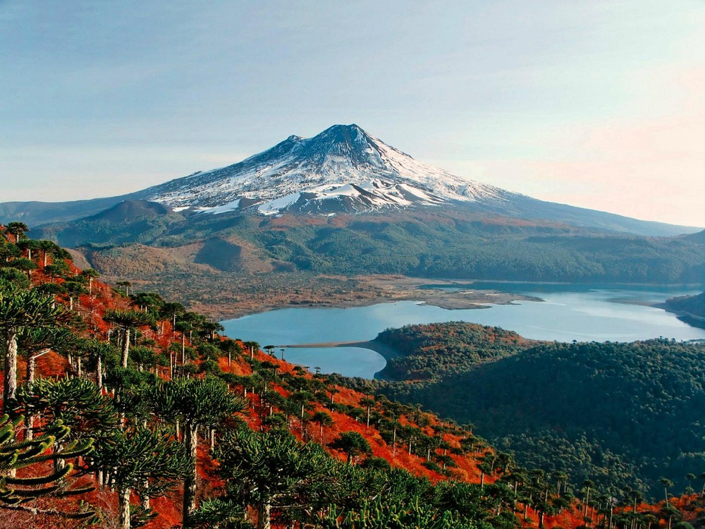 Parque Nacional Conguill&iacute;o, Chile.