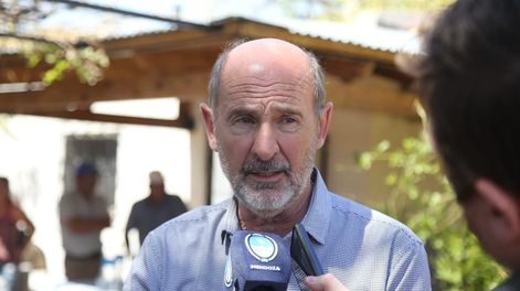 El ministro Vargas Arizu confirmó la suspensión de la vinificación diferida. 