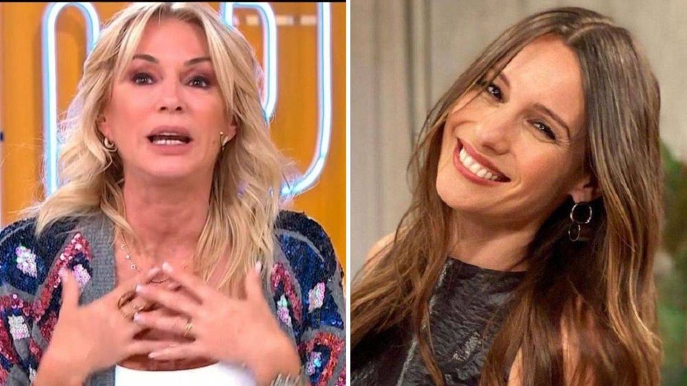 Yanina Latorre contó detalles del contrato de Carolina Pampita Ardohain para hacer cuatro programas en la TV Pública.