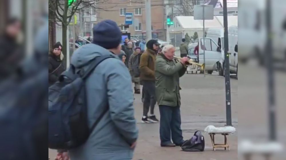 El inesperado compañero de un músico callejero que tocaba su trompeta.