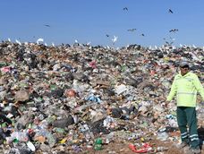 La iniciativa es una de las metas de la Agenda 2030 para el Desarrollo Sostenible. 