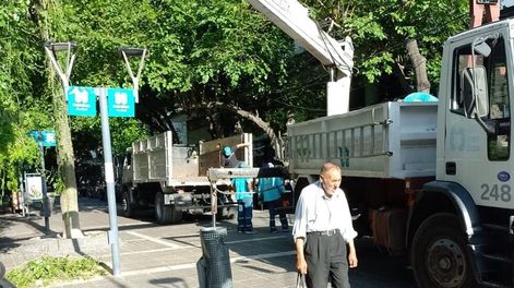 La Ciudad desplegó un operativo integral tras el intenso viento de este lunes. Foto: Prensa Ciudad de Mendoza