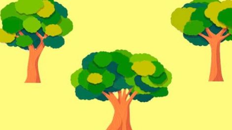 Los Andes | Dependiendo que árbol destaques, sabrás si tu sinceridad es como crees.