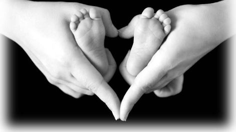 Valorar, proteger y dignificar la vida - Por Vicente S. Reale