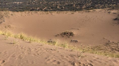 Rocas del Sol Mining S.A. presentó el pedido de exploración ante la Dirección de Minería de Mendoza. Imagen ilustrativa.