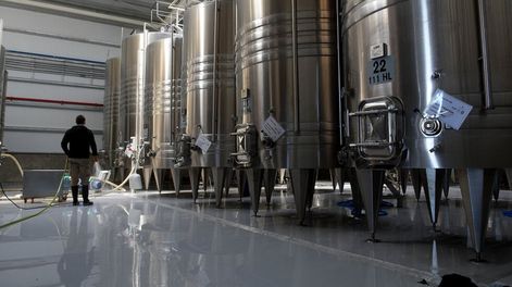 El árbol vitivinícola  no deja ver el bosque - Por Arnold Rubén  Simoni