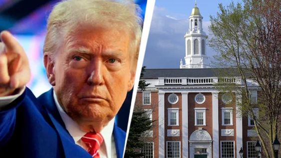Trump congela 2.200 millones en fondos a Harvard tras el rechazo de la universidad a sus exigencias de control