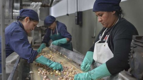 Los Andes | La Cooperativa La Terre cuenta con casi 100 trabajadores y fueron los protagonistas de una campaña solidaria que permitió entregar 50.000 raciones de alimentos a comedores y merenderos. Foto: Orlando Pelichotti.