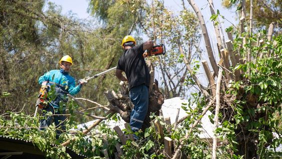 Nuevo reporte de los trabajos por el viento zonda