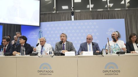Comenzó el debate por la Ley de Glaciares con 100.000 inscriptos y fuertes cruces.&nbsp;