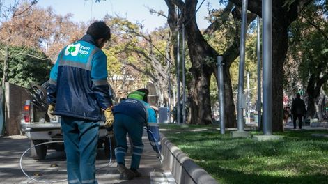 La Ciudad comunica cuál será el cronograma de trabajos de arbolado y bacheo