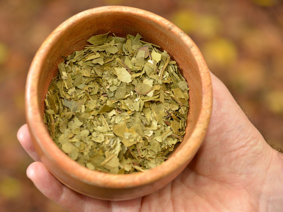 Economías regionales: la yerba mate es una de las actividades complicadas.