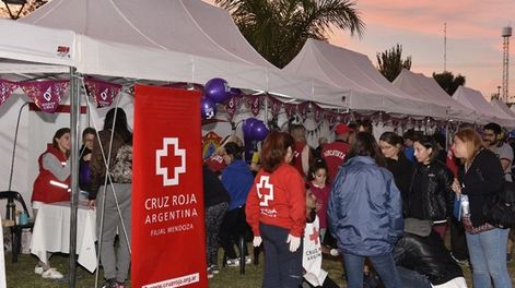 Una de las últimas ediciones de la Expo Mendoza Voluntaria.