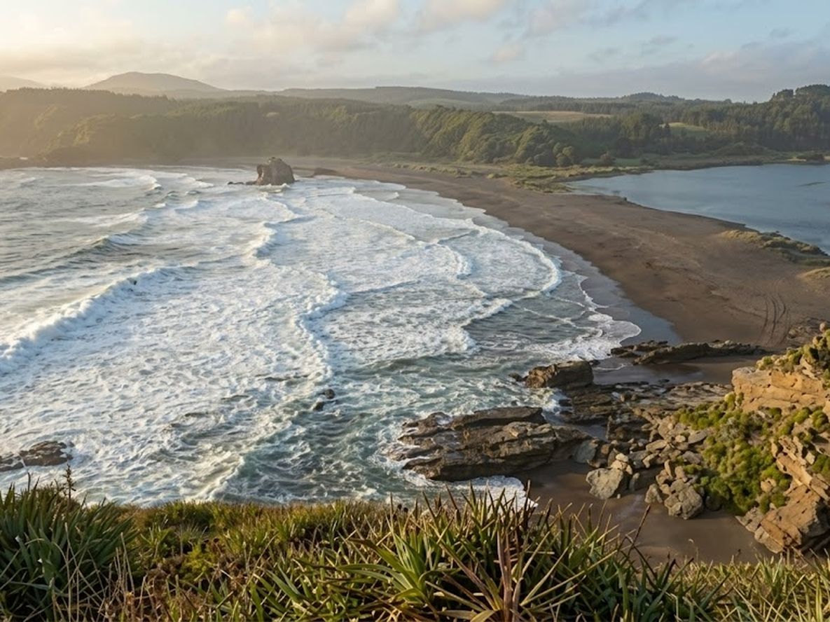 Cuatro días en la costa de Chile: naturaleza, historia y mar en un mismo recorrido en la región del Biobio