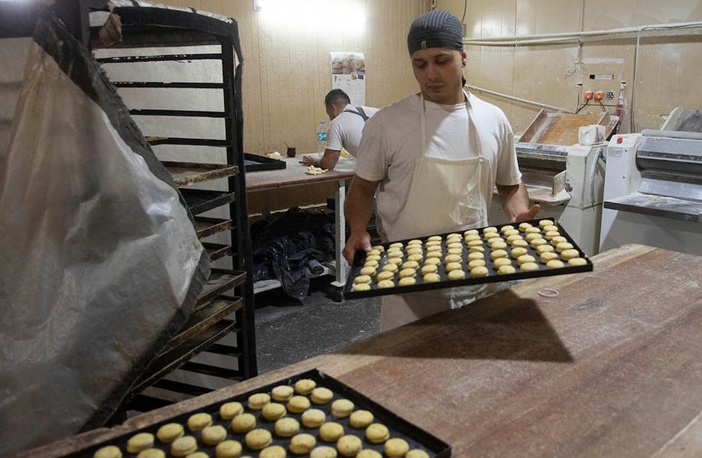 La venta de harina subsidiada a los panaderos y los fabricantes de pastas puede retrotraer precios, señalaron desde el gobierno. Los mendocinos atentos al desarrollo de la operatoria par tomar una decisión.
