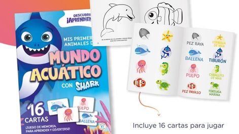 Llega “Descubrir ¡aprendiendo!”, para los más chiquitos