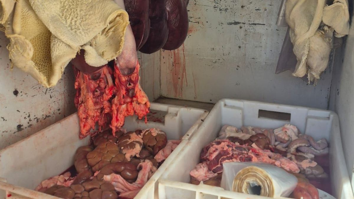 Decomisaron 92 kilos de carne que eran transportados en un vehículo sin habilitación ni refrigeración