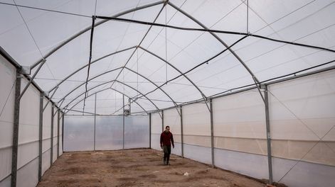 Los Andes | Así funcionará el laboratorio experimental de Mendoza para controlar la producción de cannabis medicinal. Foto: Ignacio Blanco / Los Andes