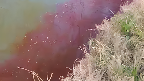 Apareció sangre en un río de Buenos Aires y crece la alerta entre los vecinos