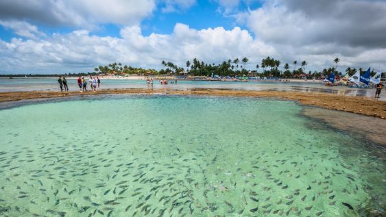 el paradisiaco pueblito de brasil con arrecifes naturales: un lugar magico de aguas calidas y cristalinas
