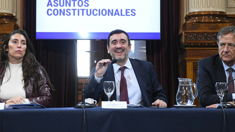 Agustín Coto, presidente de la Comisión de Asuntos Constitucionales
